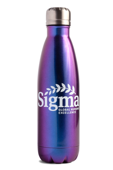 Insulated 17oz Bottle